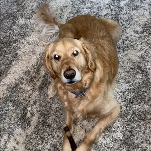 Meet your Posher, Kolby